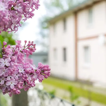 Apartamento Herthaquelle 4 