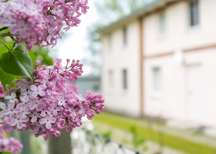 Appartement Herthaquelle 4 
